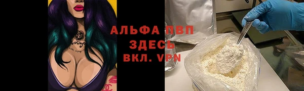 СК Алзамай